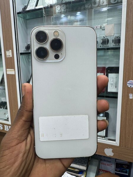 iPhone 13 Pro Max