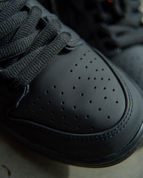 Nike sb