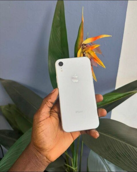 iPhone XR