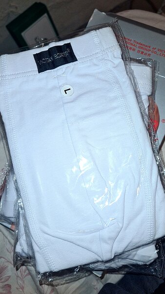 Victan boxer