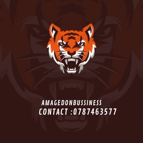 Amagedon bussiness