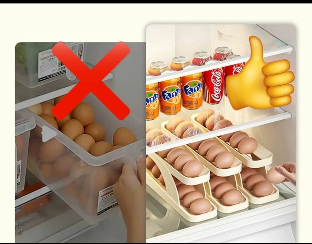 DISTRIBUTEUR D'ŒUFS