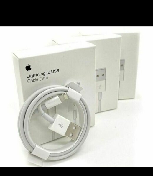 Câble Lightning vers USB 1m