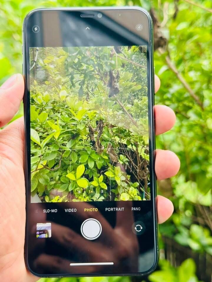 iPhone 11pro max