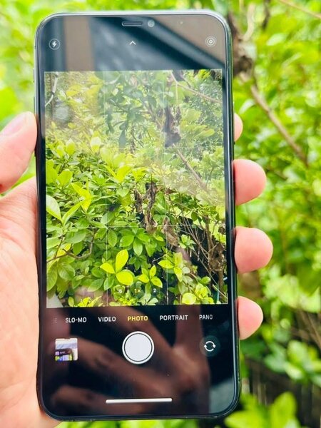iPhone 11pro max