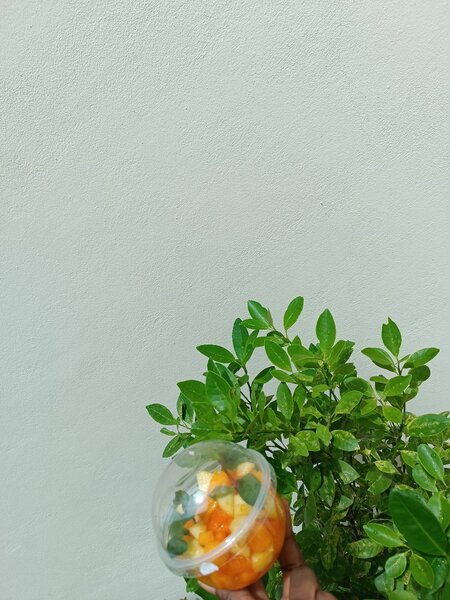 Salade de fruits