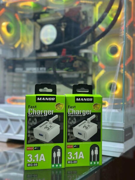 Fast charger