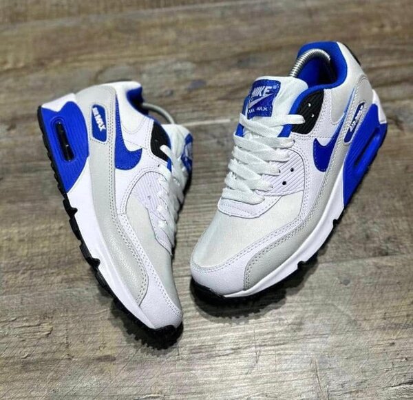 Baskets Nike Air Max élégantes