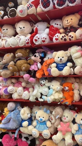 Teddy bear