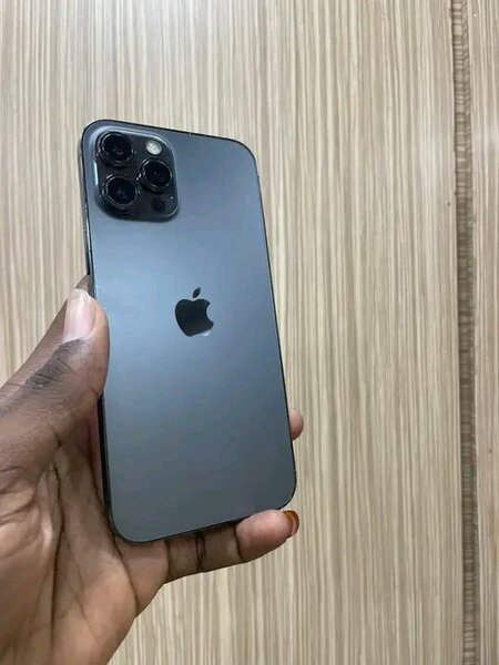 iPhone 12 Pro Max Gris