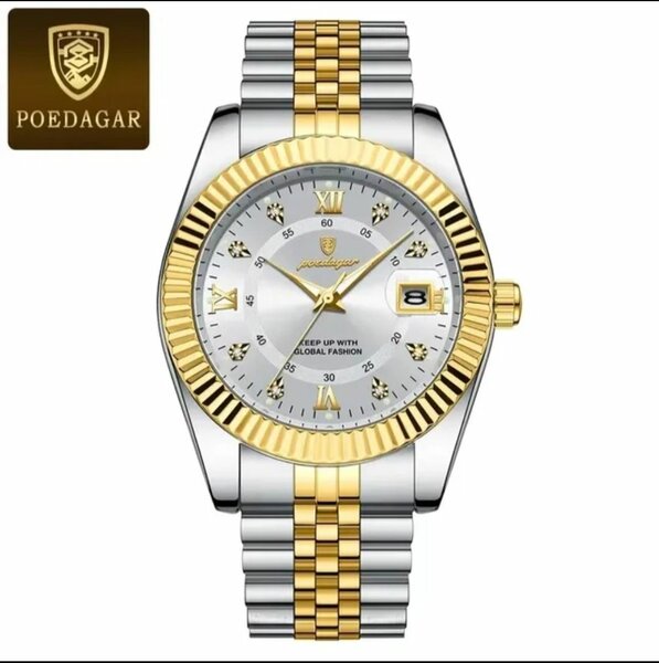 Montre de luxe POEDAGAR