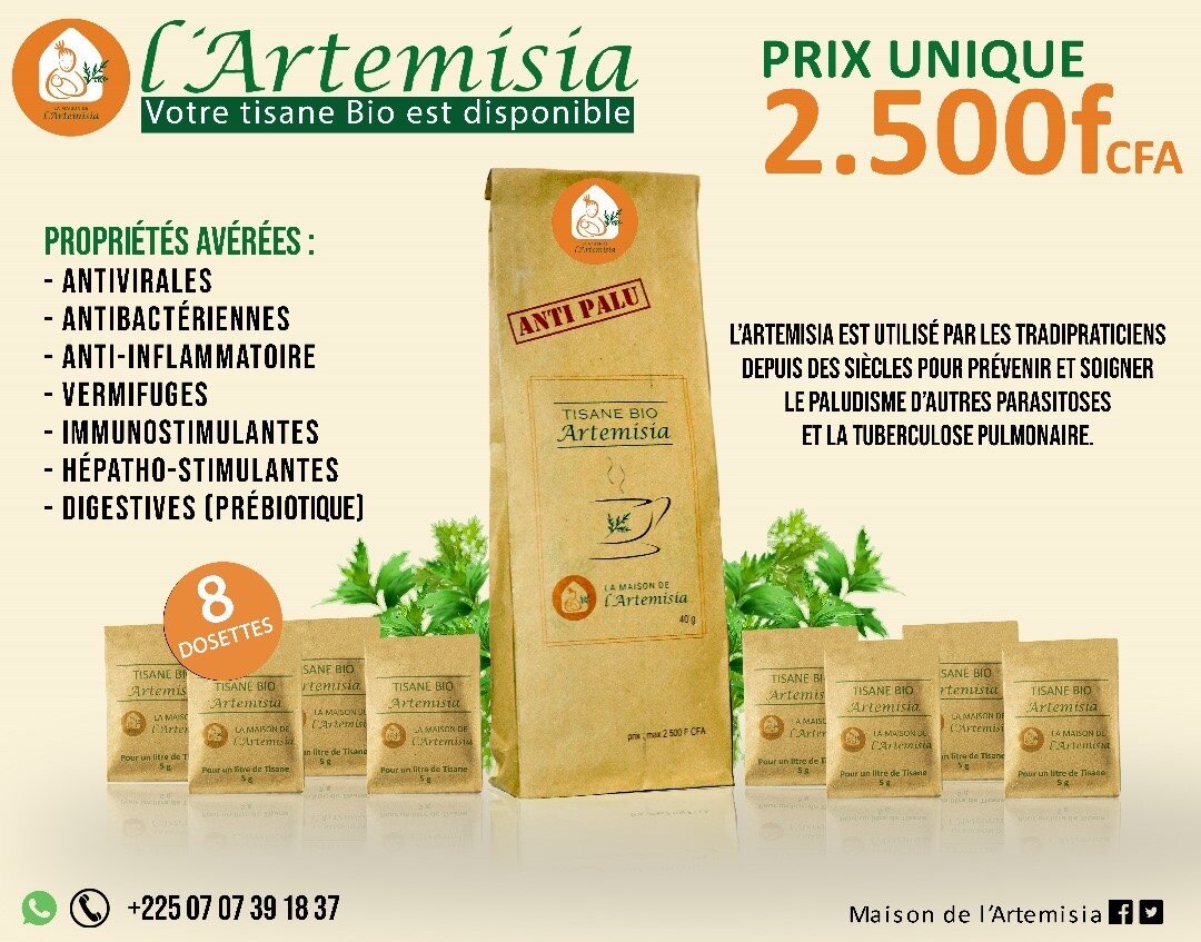 Thé Artemisia