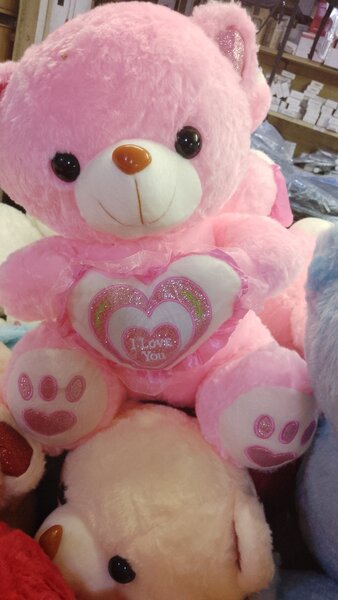 Nounours