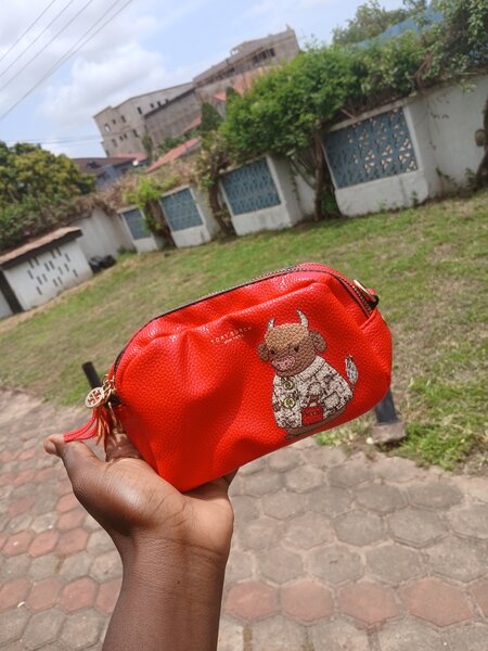 Pouch