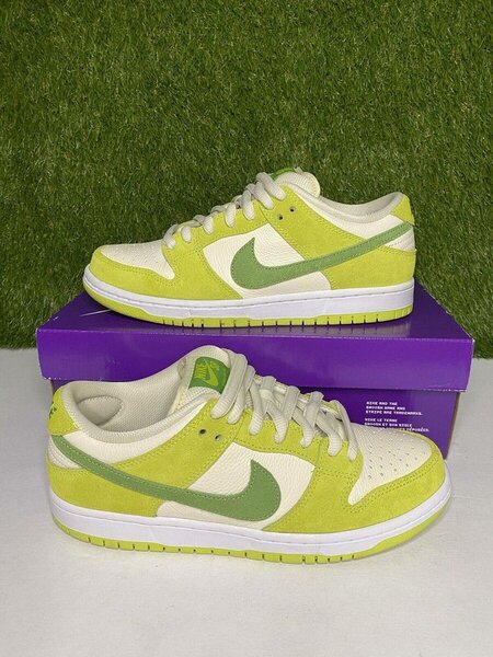 Nike dunk pro SB