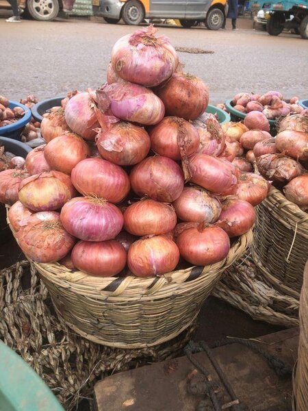 Onion