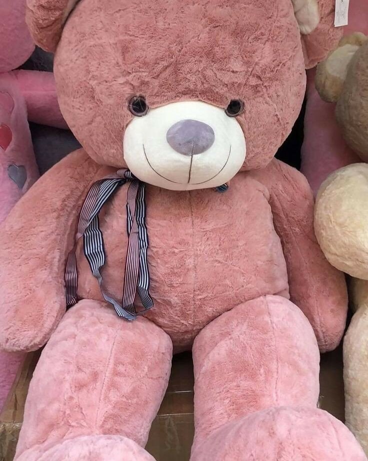 Teddy bear