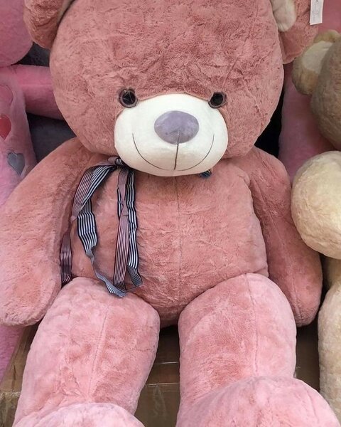 Teddy bear