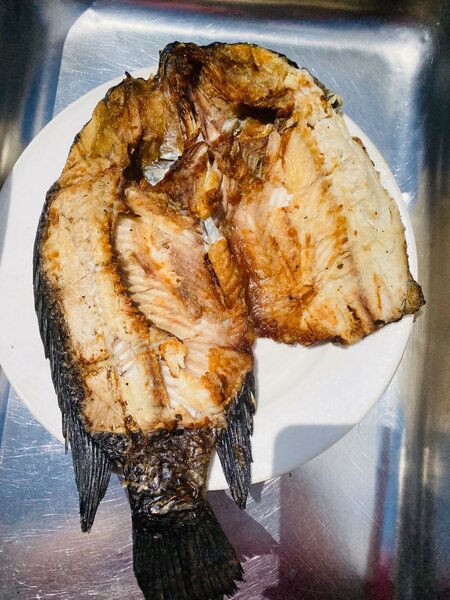 Fish