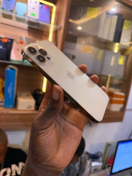 iPhone 13 pro max