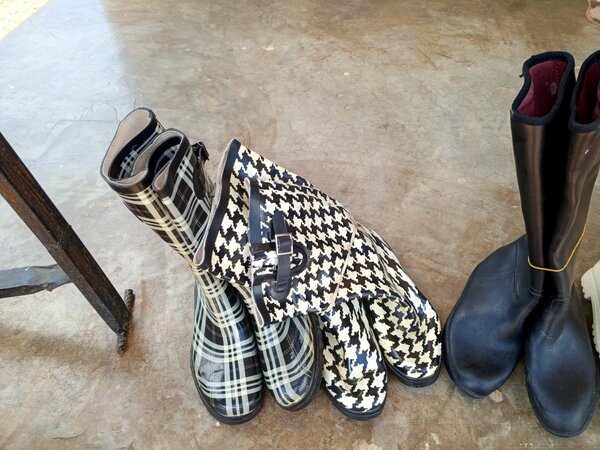 Gumboots