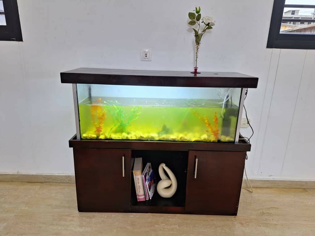 Aquarium