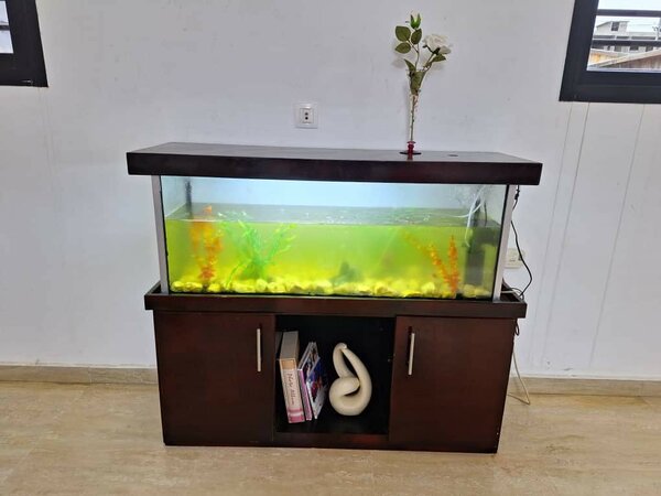 Aquarium