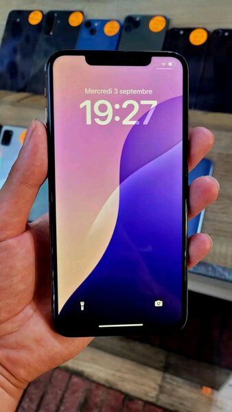 iPhone XS Max 256 Go