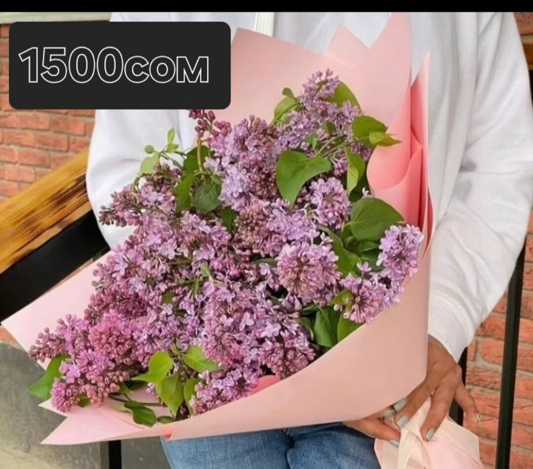 Гүлдөр Үйү