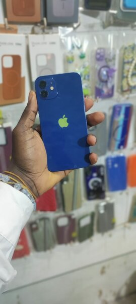 iPhone 12 simple