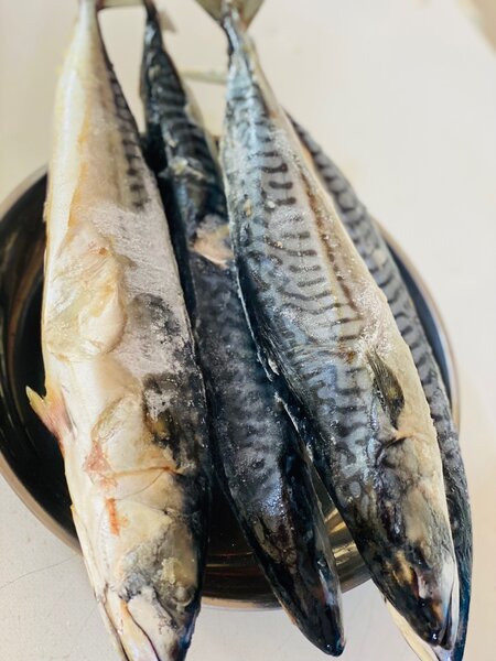 Abidgan Salmon