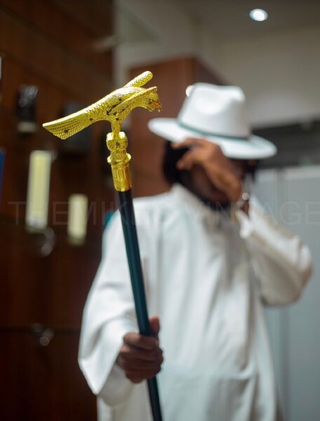 Walking stick
