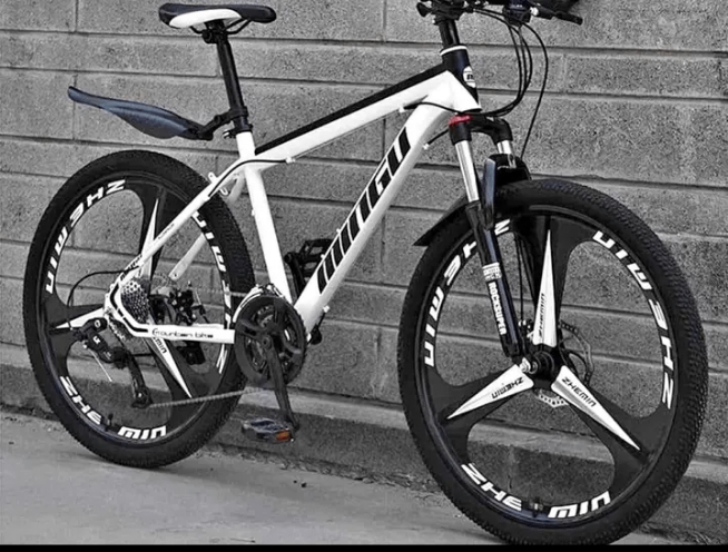 Vélo tout-terrain haute performance