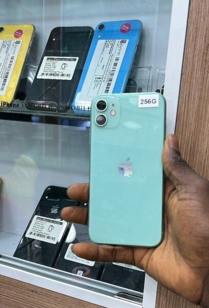Iphone 11 bleu 256GB
