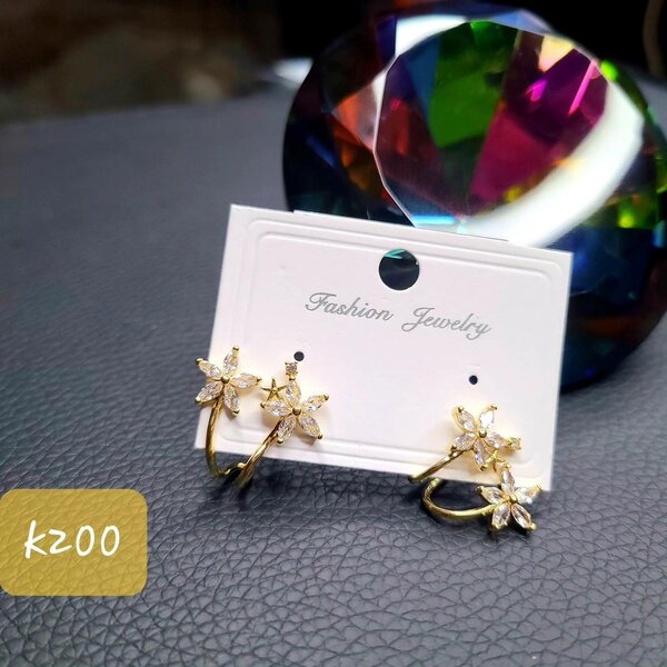 Jewelry earrings