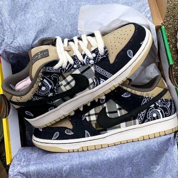 Chaussures SB NIKE