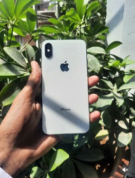 iPhone X