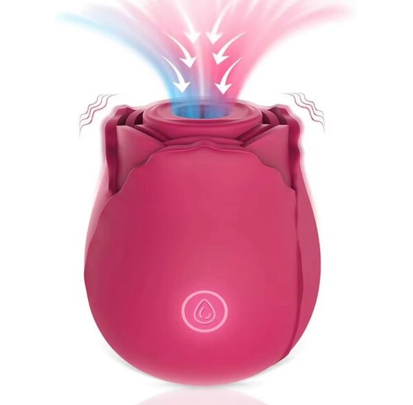 Vibromasseur aspirateur
