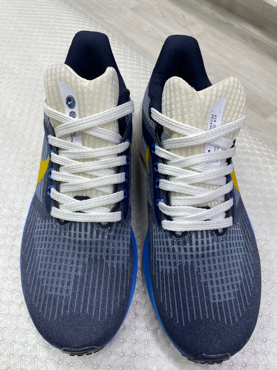 Nike Pegasus 39