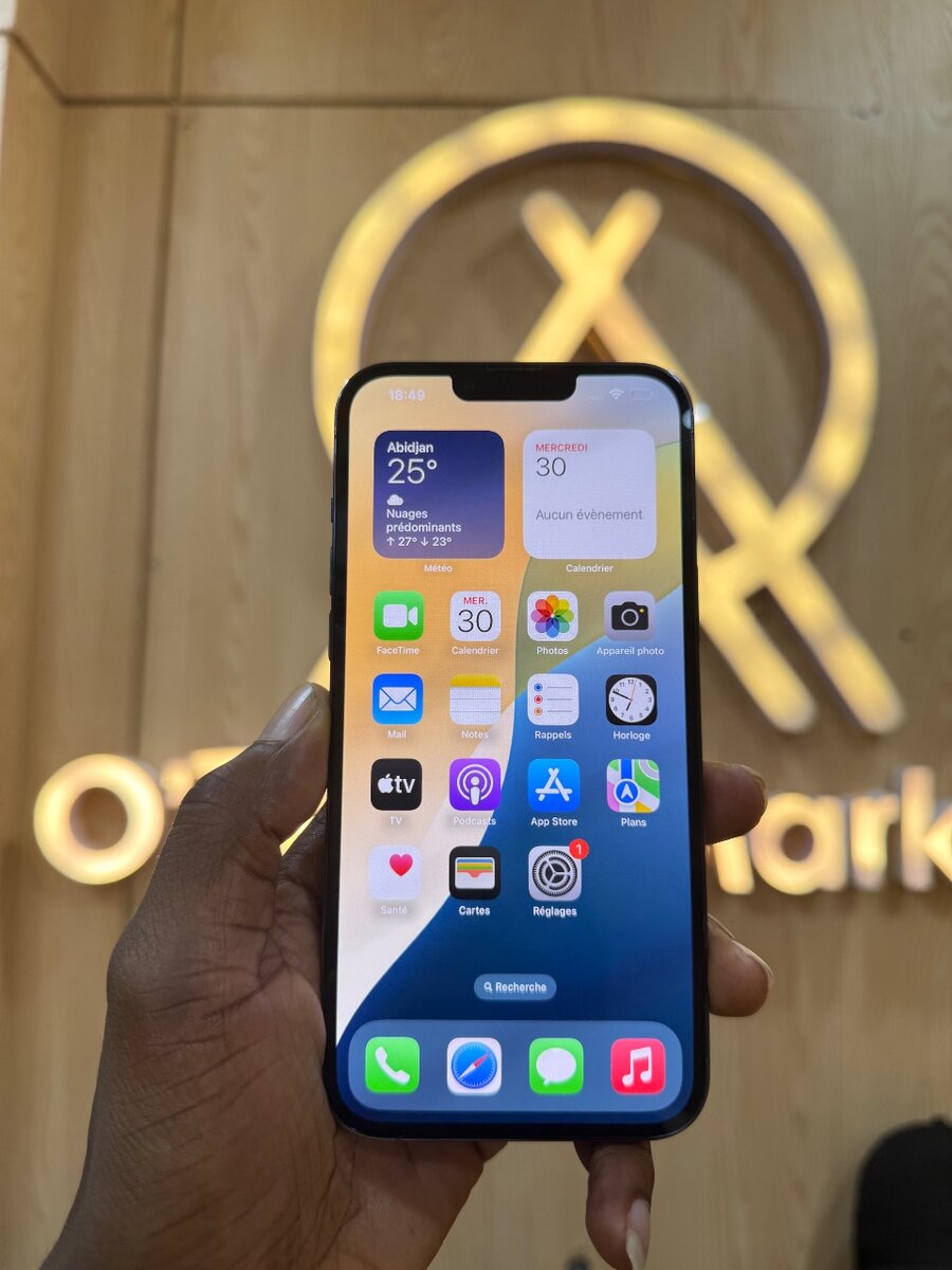 iPhone 13 Pro Max