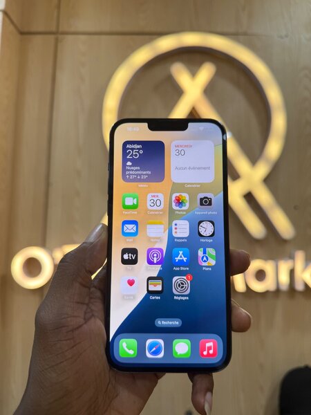 iPhone 13 Pro Max