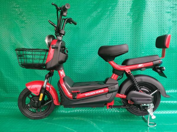 Electric motor