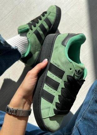 Basket adidas campus