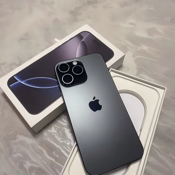 iPhone Pro Max 256Go Gris