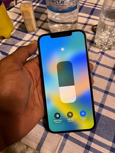 iPhone 12 Pro Max