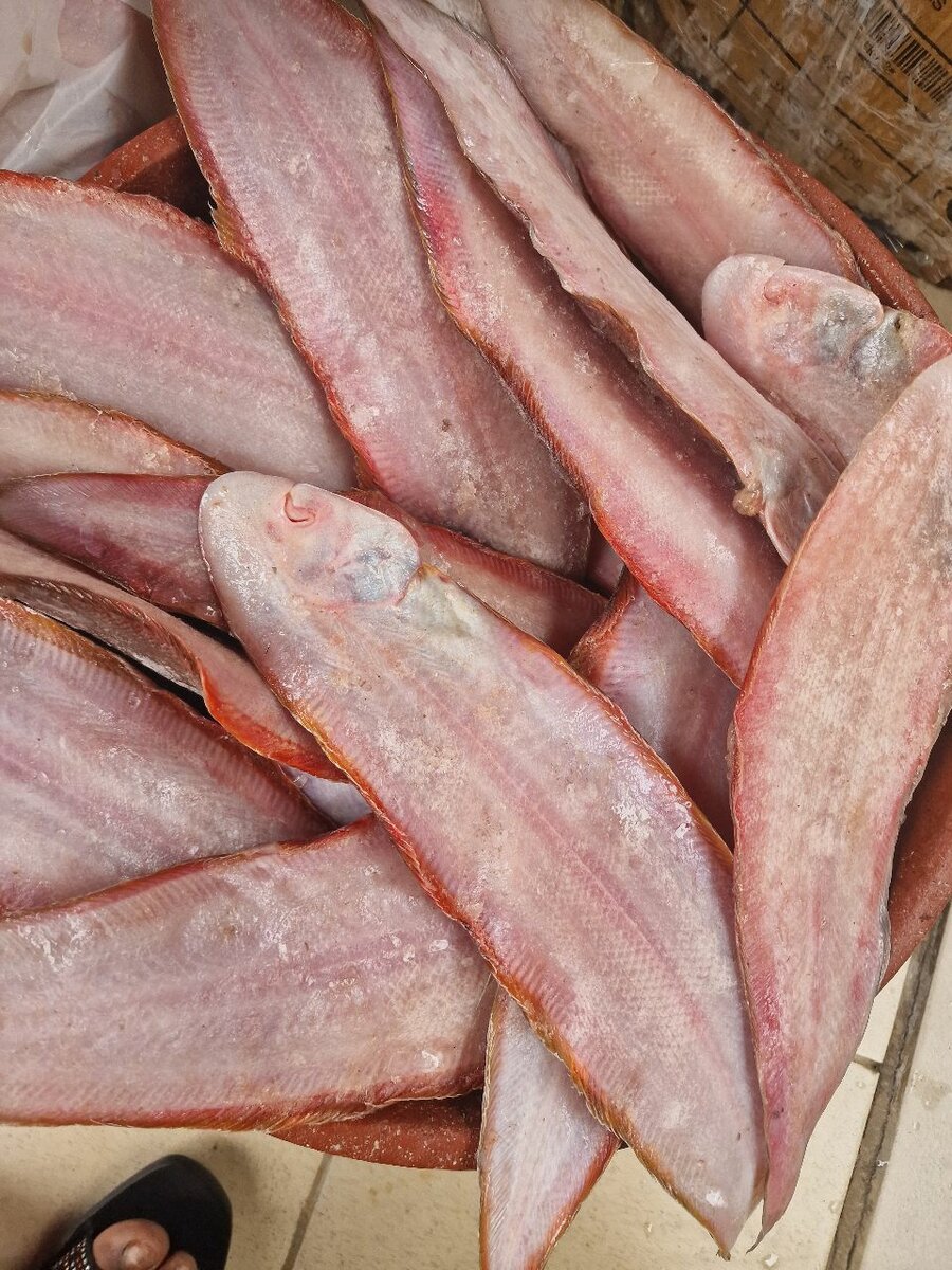 Poisson soles