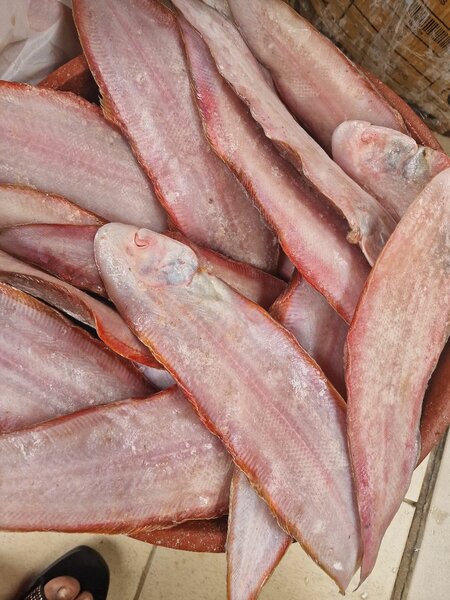 Poisson soles