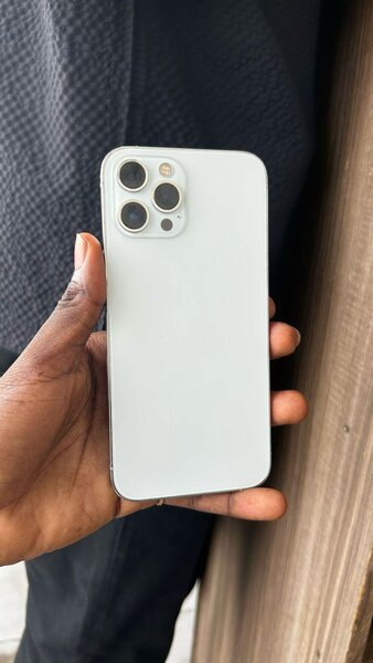 iPhone 12pro max