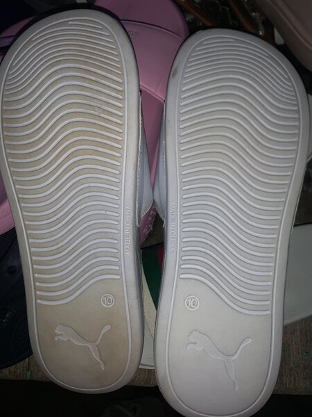 Puma slide