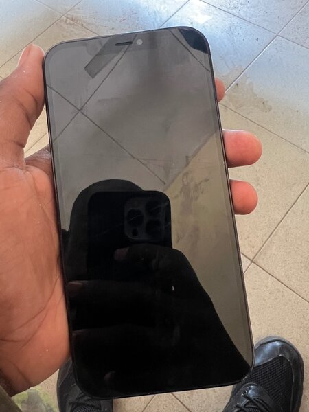 iPhone 12 Pro Max